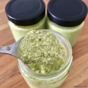 Read more about the article Indian Borage Pesto