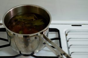 Read more about the article Indian Borage Tea