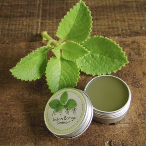 Read more about the article Indian Borage Mosquito Balm